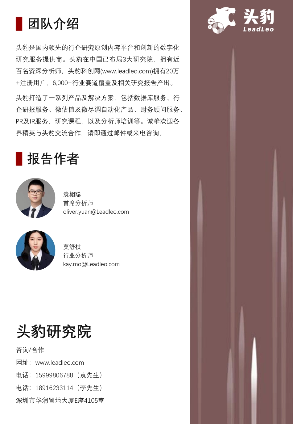 2023年中国大数据行业概览：数字智能时代 大数据引领未来.pdf_第2页
