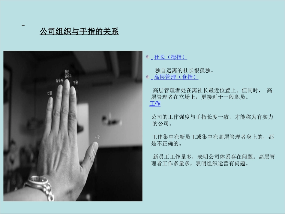 3-公司组织与手指的关系.pptx_第2页