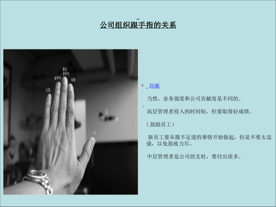 3-公司组织与手指的关系.pptx_第3页