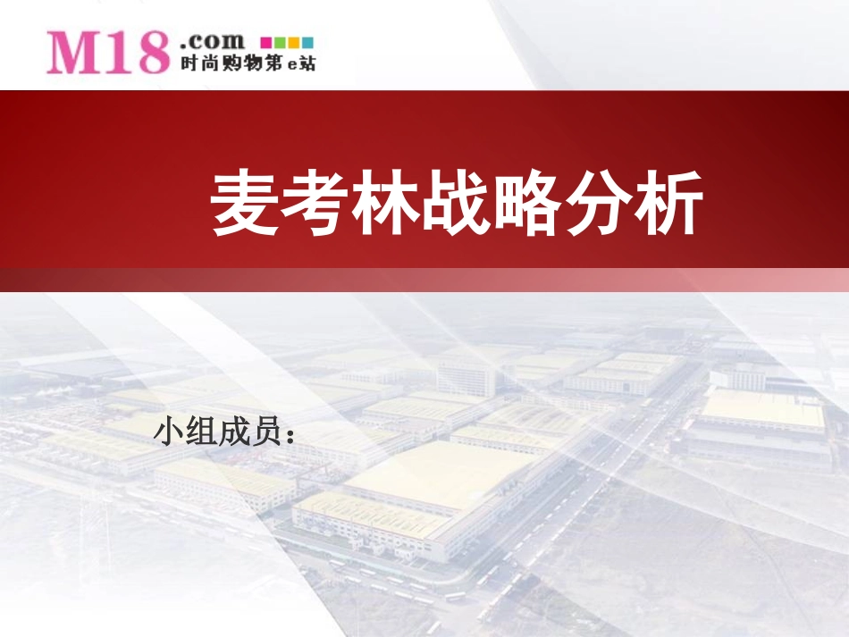 麦考林电子商务战略规划分析.ppt_第1页
