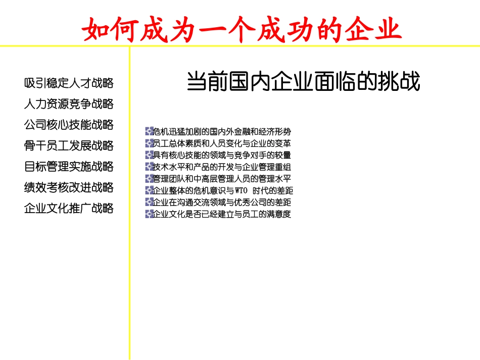 人力资源战略规划与组织设计.ppt_第3页