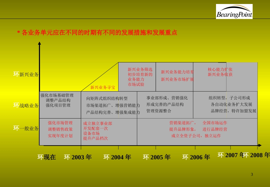 罗兰贝格-某品牌有限公司战略业务规划.ppt_第3页
