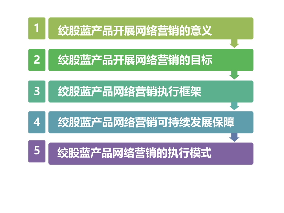 绞股蓝产品网络营销战略规划.ppt_第2页