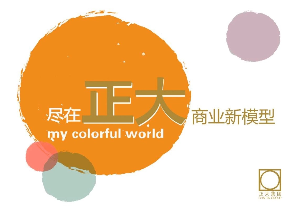 最新正大商业模式.ppt_第1页