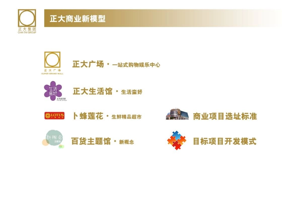 最新正大商业模式.ppt_第2页