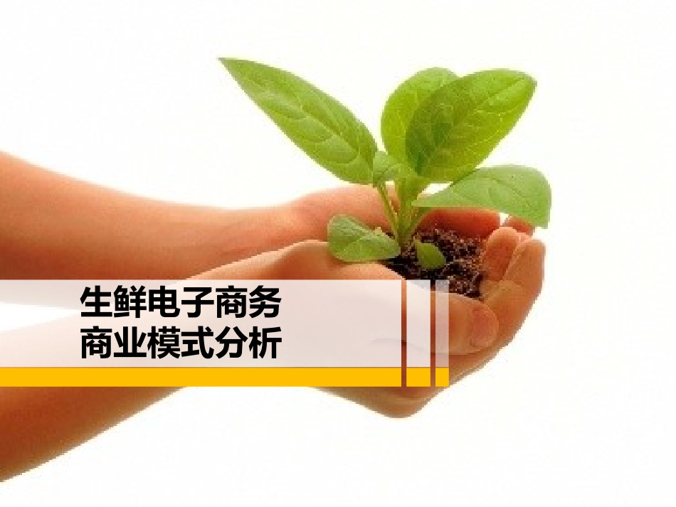 020生鲜电子商务商业模式.pptx_第1页