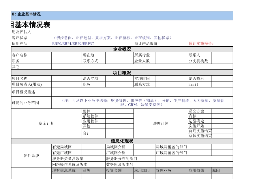 《项目成熟度评估报告》.xls_第2页