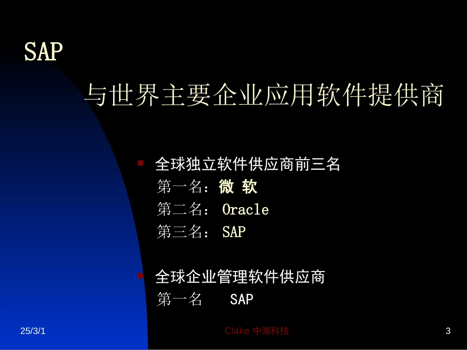 SAP公司介绍.ppt_第3页
