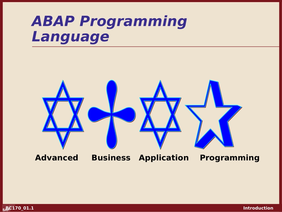 Intro to ABAP - Chapter 01.ppt_第1页