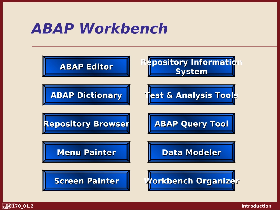 Intro to ABAP - Chapter 01.ppt_第2页