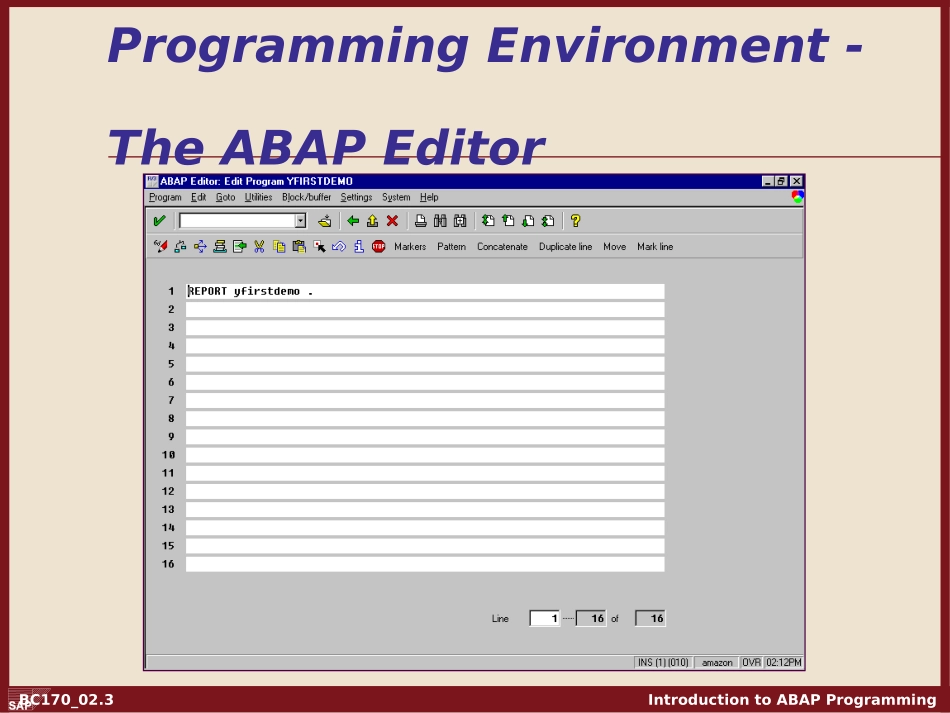 Intro to ABAP - Chapter 02.ppt_第3页