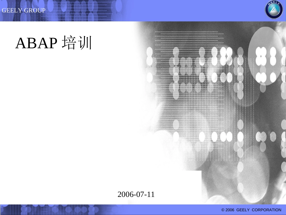 ABAP Overview.PPT_第1页