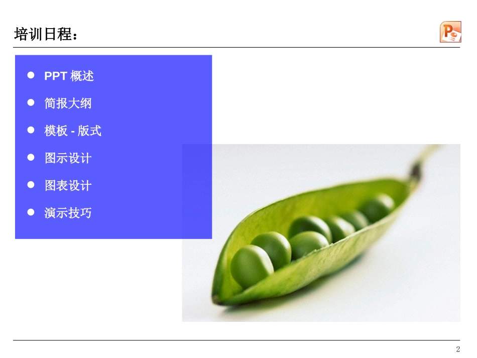 06.讲义_PPT设计（一些PPT要点例如PPT模板）.pptx_第2页