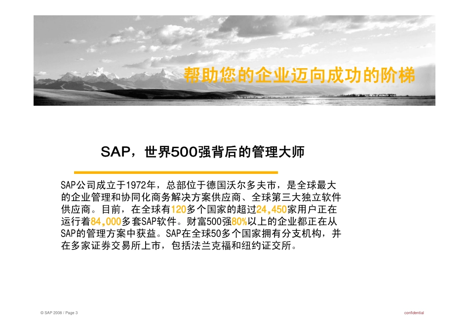 SAP_CRM_渠道管理解决方案.pdf_第3页