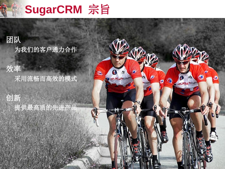 SugarCRM介绍.ppt_第2页