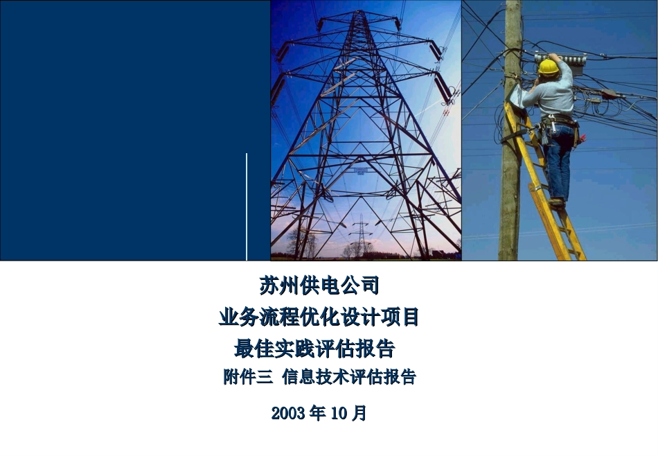 DE_附件三信息技术评估报告_241003 RZ.ppt_第1页
