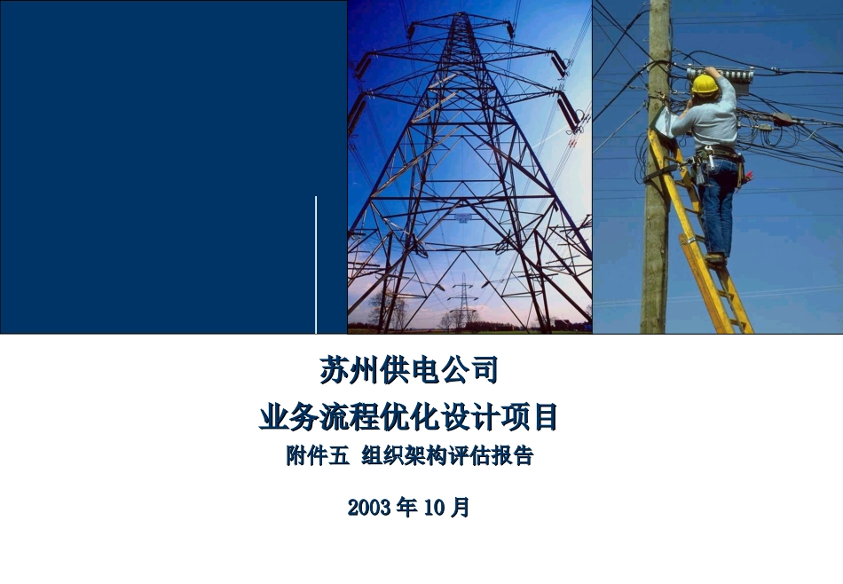 DE_附件五组织架构评估报告_GBP_review_271003.final_function_MD.ppt_第1页