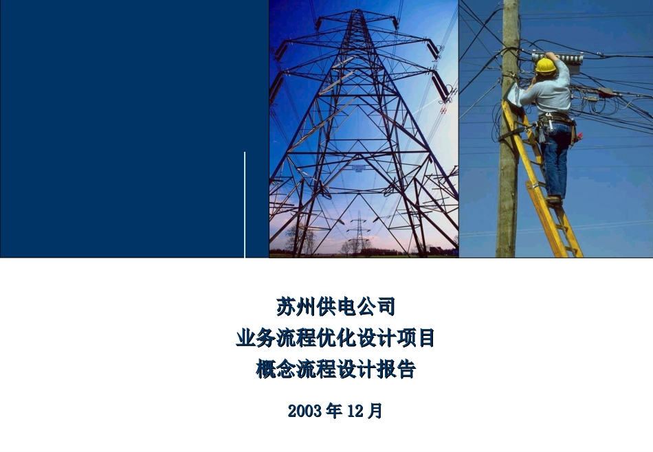 DE_概念流程设计报告 Conceptual Design Report _291103 WW.ppt_第1页