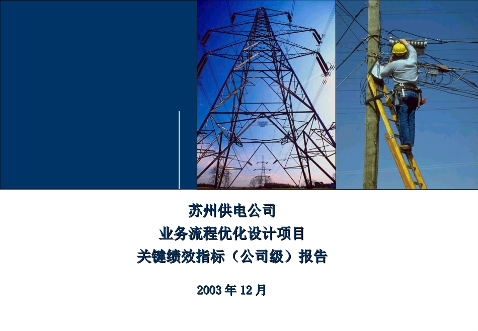 DE_关键绩效指标（公司级）报告 KPI_011203 WW.ppt_第1页