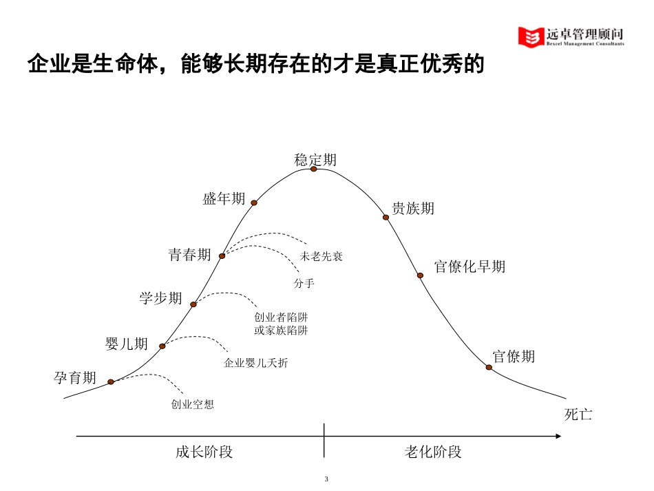 建设具有持续竞争力的优秀公司（经营与绩效）.ppt_第3页