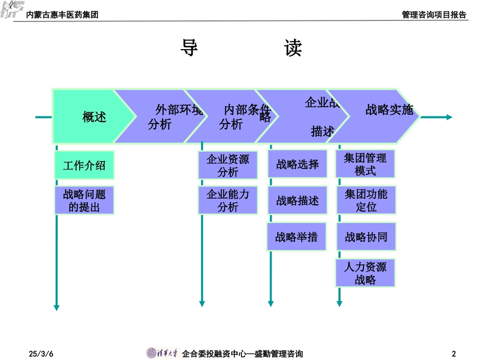 惠丰医药战略报告419end.ppt_第2页