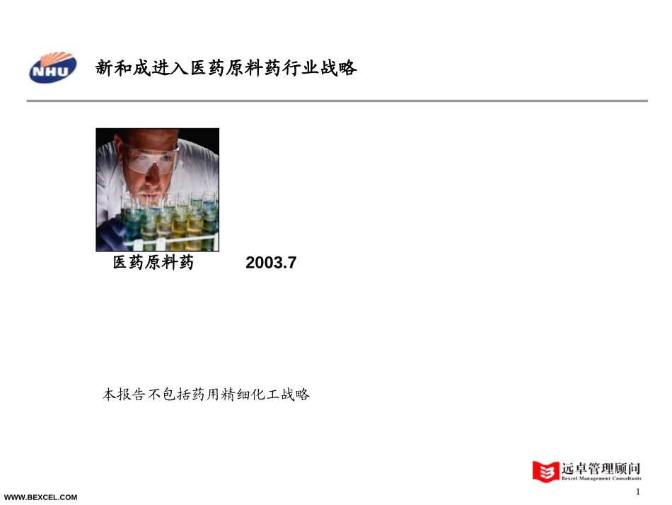 新和成原料药战略-0731-adele.ppt_第1页