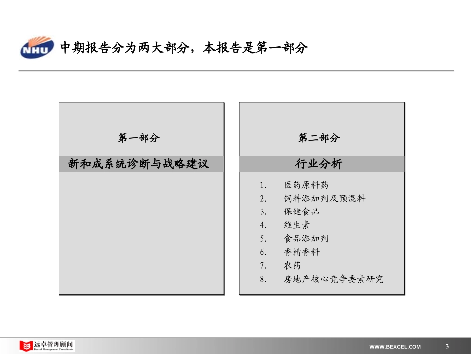 新和成战略报告－0807.ppt_第3页