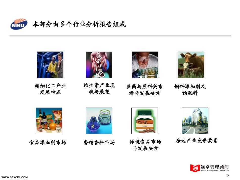 新和成战略报告－行业分析－0804.ppt_第3页