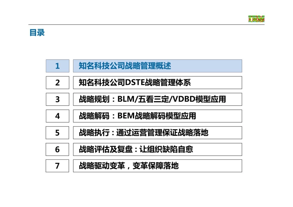 华为DSTE战略管理体系完整版 (1).pdf_第2页