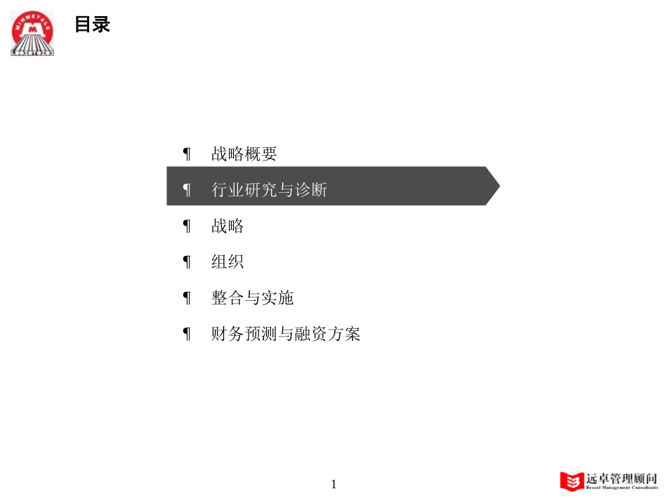 MFS 行业分析与诊断 v0.96 2001-12-05 zy.ppt_第1页