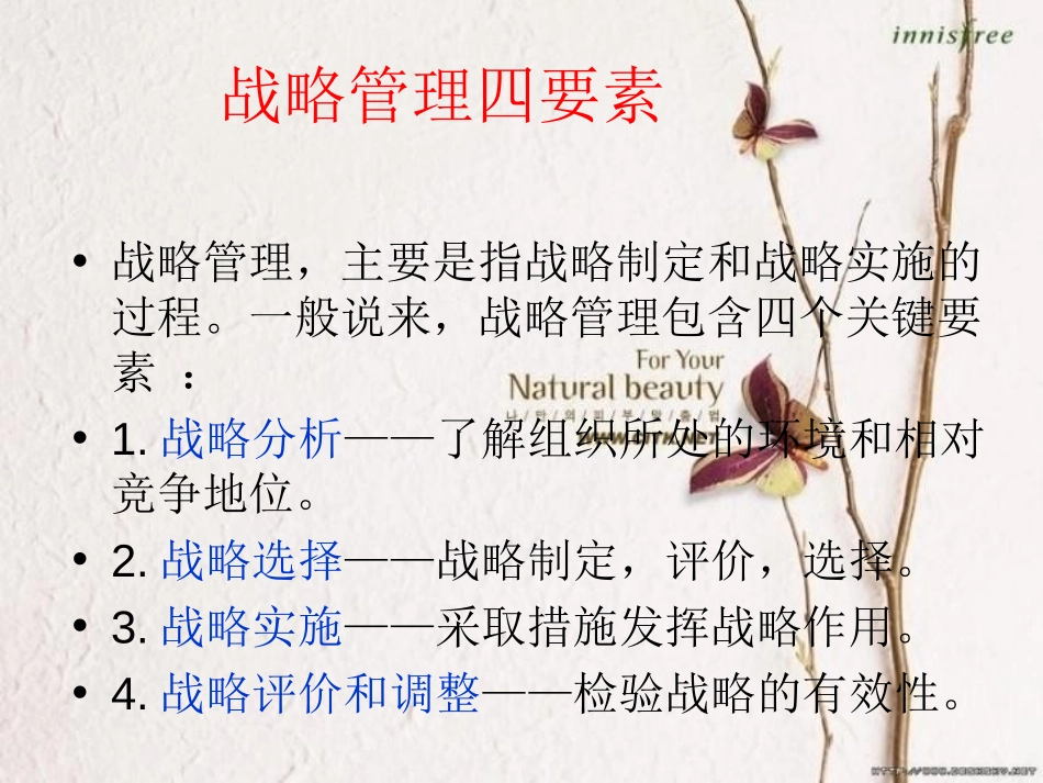 公共管理战略管理.ppt_第3页