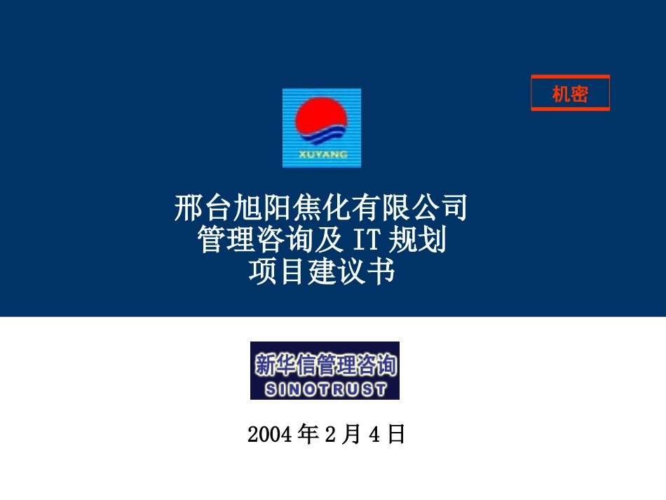 邢台旭阳焦化有限公司项目建议书v6.0-新华信20040204.ppt_第1页