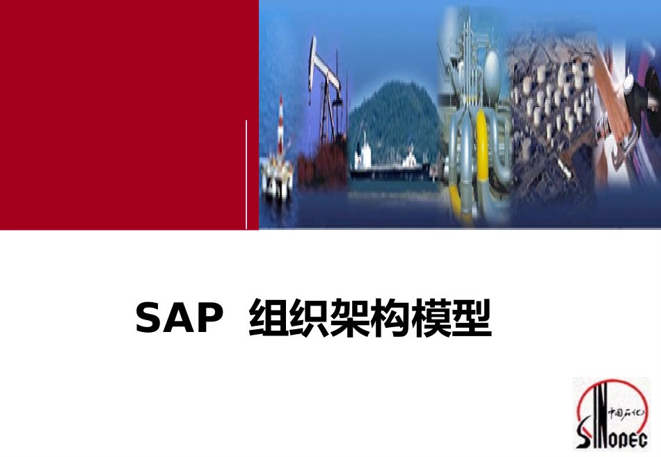 sap组织架构.ppt_第1页